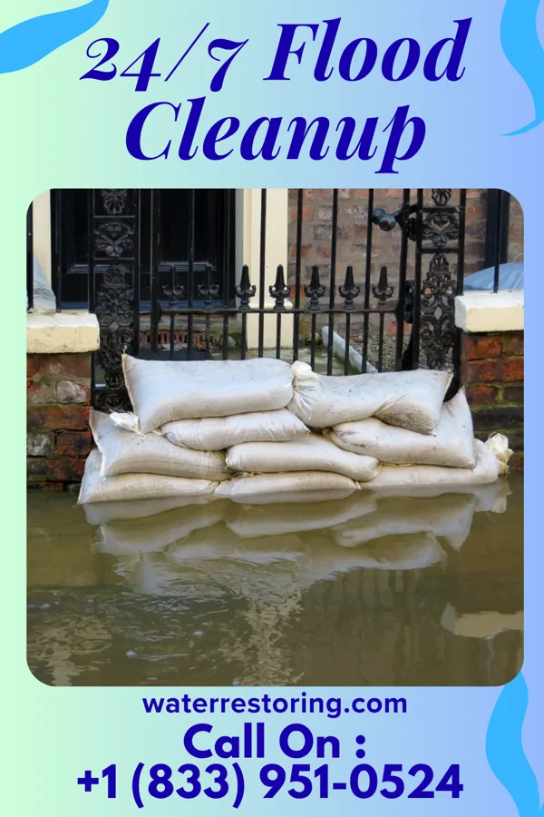 24/7 Flood Cleanup in Millbrook Colony, SD